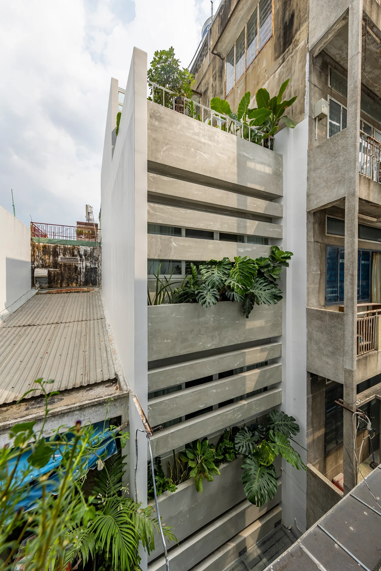 Nature Curtain House trong bối cảnh nhà phố.