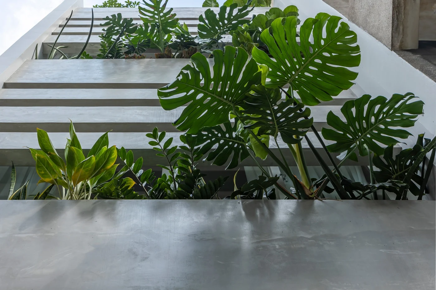 Cây xanh giữa các dải ngang bê tông.